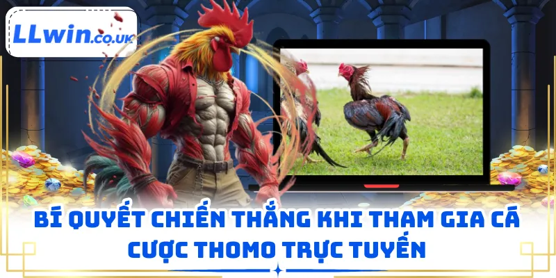 Bí quyết chiến thắng khi tham gia cá cược Thomo trực tuyến