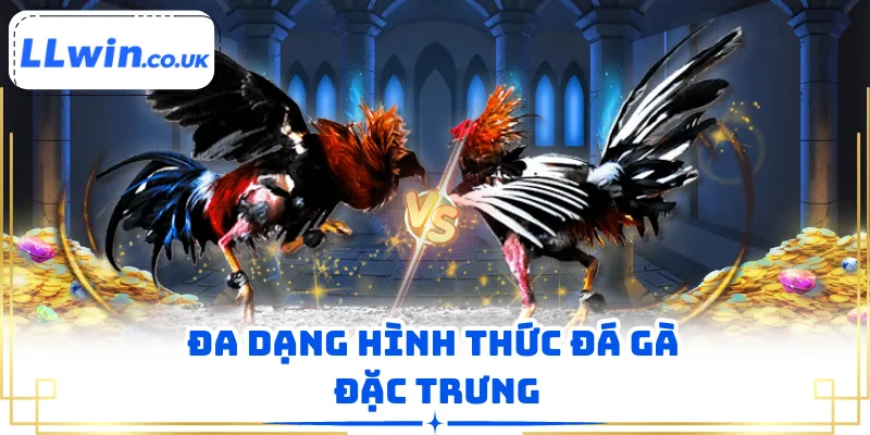 Đa dạng hình thức đá gà đặc trưng