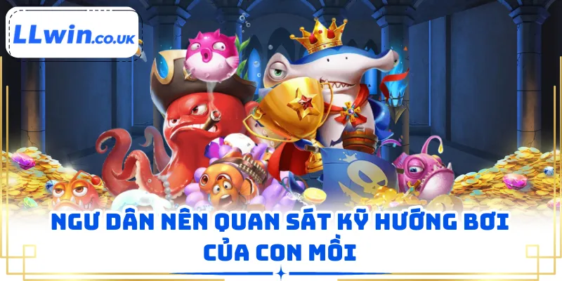 Ngư dân nên quan sát kỹ hướng bơi của con mồi
